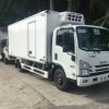 isuzu npr 400 đông lạnh
